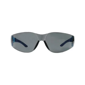 Lente de seguridad Resistor Rex C/Cord Ae Gris